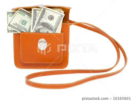 dollar bills in handbag dollar bills in handbag 10165601