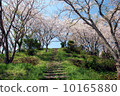 風景 10165880