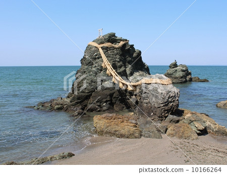 Couple's side 10166264