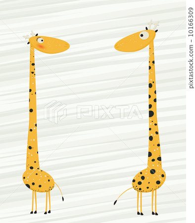 Giraffes 10166309