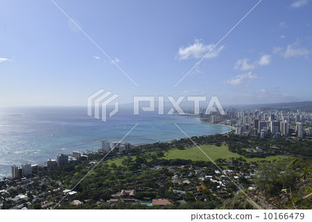 Waikiki Beach 10166479