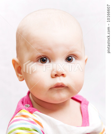 Little calm brown eyed baby closeup studio portrait Little calm brown eyed baby closeup studio portrait 10166607