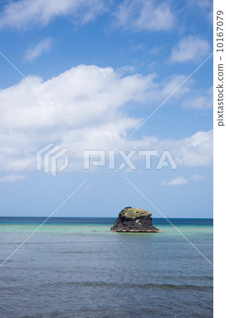 小荒島 10167079