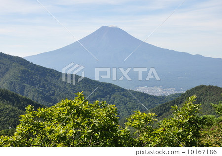 來自總部Maru的富士 10167186