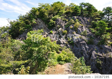 總公司圈子 10167195