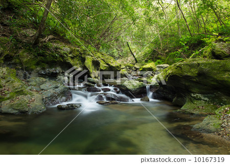 Clear flow of Yanbaru (Okumagawa) Clear flow of Yanbaru (Okumagawa) 10167319