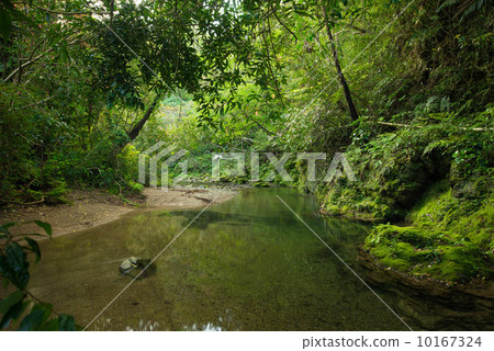 Clear flow of Yanbaru (Okumagawa) 10167324
