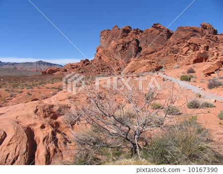 美國內華達州火州立公園在拉斯維加斯附近 10167390