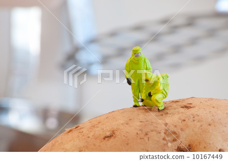 Group of Researchers in protective suit inspecting a potato. Group of Researchers in protective suit inspecting a potato. 10167449