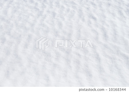 Snow background 10168344
