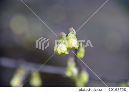 Hyuga mizuki Hyuga mizuki 10168768