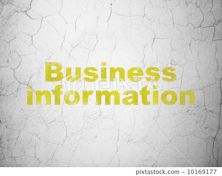 Business concept: Business Information on wall background 10169177