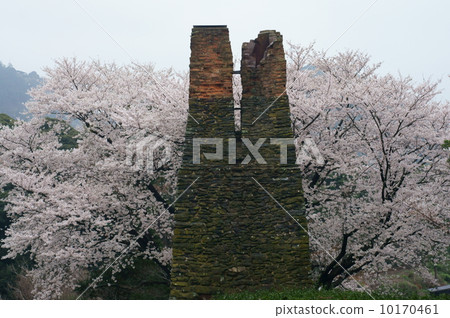 Cherry blossoms after the rain · Reflection furnace 10170461