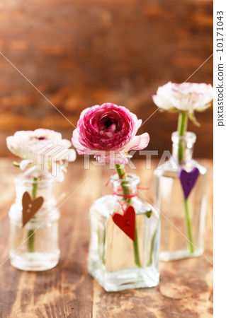 ranunculus in vase 10171043