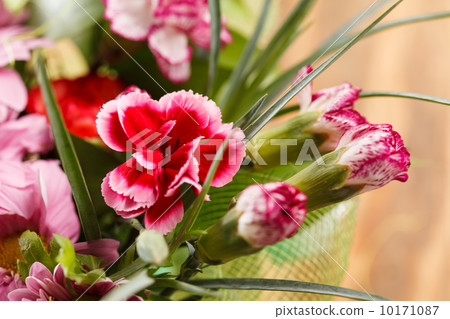 nice flowers nice flowers 10171087