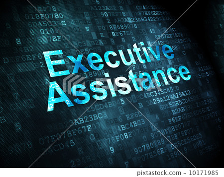 Business concept: Executive Assistance on digital background 10171985