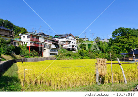 Min Shinshu和Achi的農村風景 Min Shinshu和Achi的農村風景 10172017