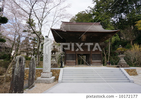 Law Tama Tadashi Eiji寺 Law Tama Tadashi Eiji寺 10172177