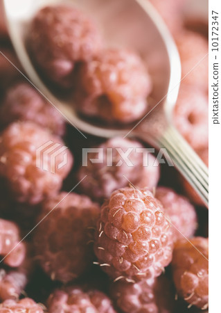 raspberry raspberry 10172347