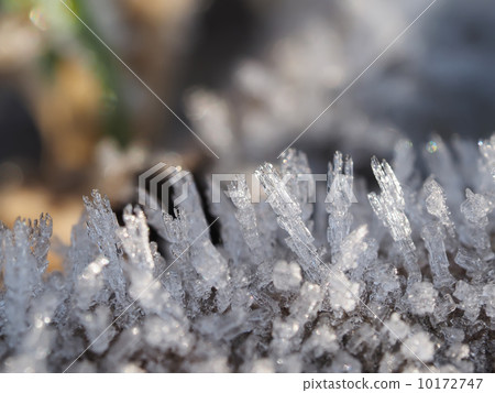ice crystals 10172747