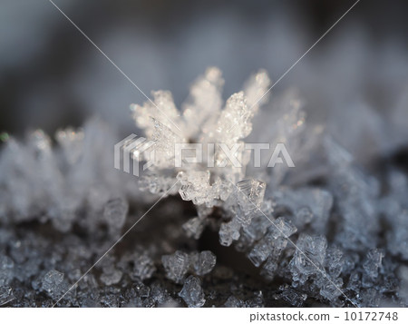 ice crystals 10172748