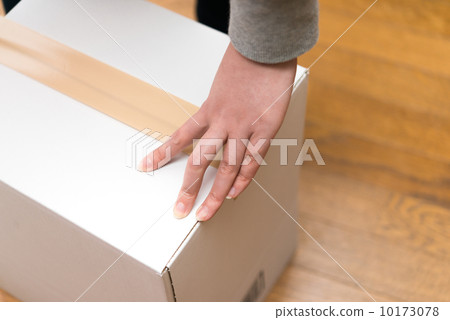 Cardboard box  10173078
