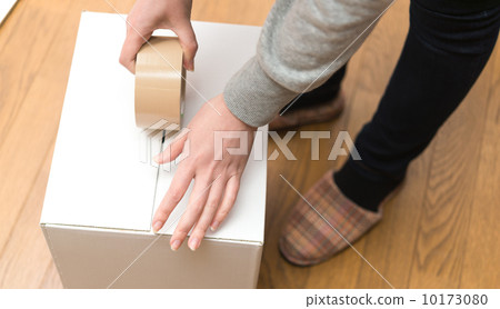 紙板箱和女士們 紙板箱和女士們 10173080