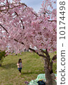 櫻花401 10174498