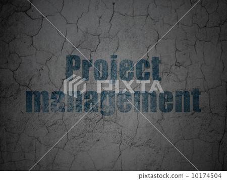 Business concept: Project Management on grunge wall background Business concept: Project Management on grunge wall background 10174504