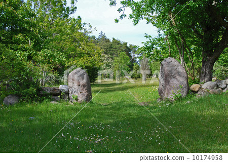 Entrance in green nature Entrance in green nature 10174958