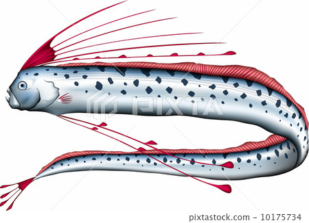 Ryugounokkai Ryugounokkai 10175734