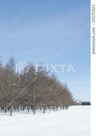 雪景 10175823
