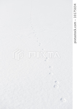 Snow background 10175834