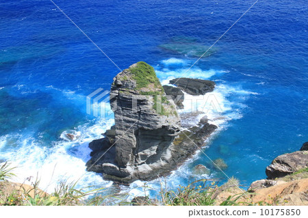 與那國島的Tamaniwa 10175850