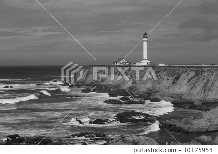 Point Arena Lighthouse Pacific coast B&W  10175953