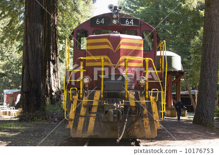 Railroad diesel engine redwood forest 10176753