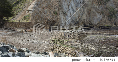 Pacific Ocean tide pool coastal California Panorama 10176754