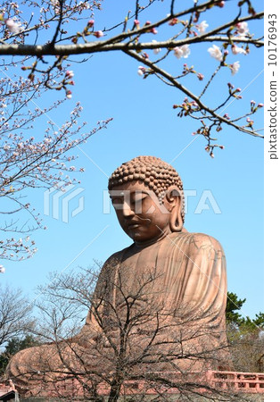 Buddha Great Buddha 10176943