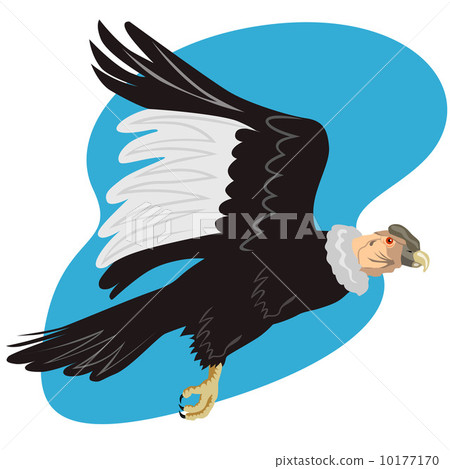 Condor in Flight 10177170