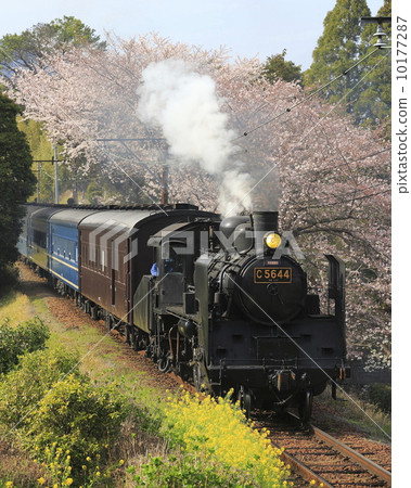 Spring Oigawa Railway SL Spring Oigawa Railway SL 10177287
