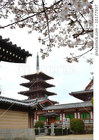 Shitennoji 5層塔 Shitennoji 5層塔 10177937