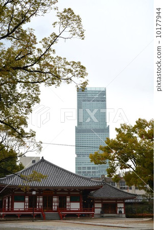 I wish for Aveno Harukasu from Shitennoji 10177944