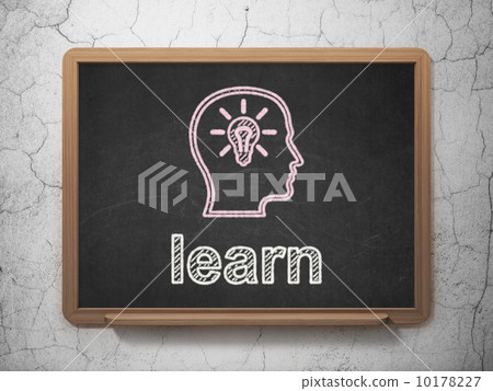 Education concept: Head With Lightbulb and Learn on chalkboard 10178227