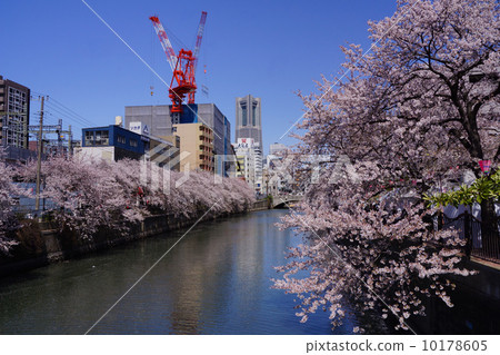 Ooka River 10178605