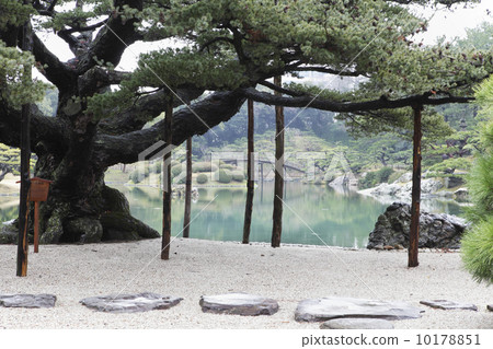 Japanese garden Japanese garden 10178851