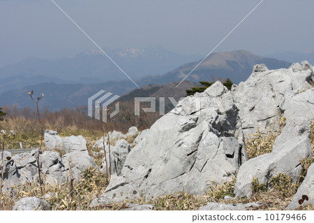 來自Tiankogen 10179466