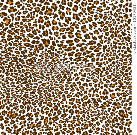 Leopard pattern - Stock Illustration [10179481] - PIXTA
