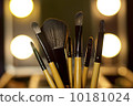Cosmetic Brushes 10181024