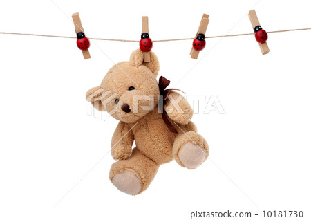 Teddy bear hanging on clothesline 10181730