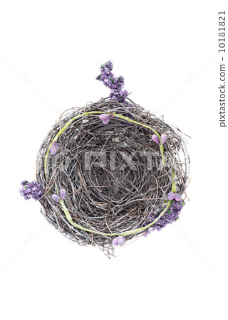 Empty nest Empty nest 10181821